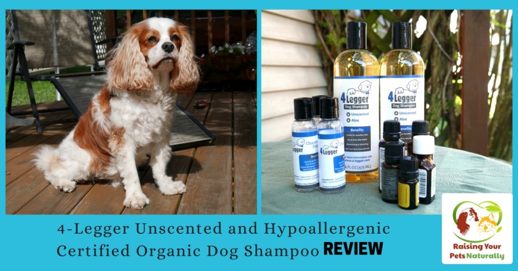 Best Dog Shampoo for Dog Allergies. Dog skin allergies can be tricky to cure. Learn how this natural dog shampoo can help stop your dog from itching. Click to stop the itch.