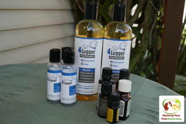 Natural dog shampoo to help with dog allergies. 4-Legger Organic Dog Shampoo Review.