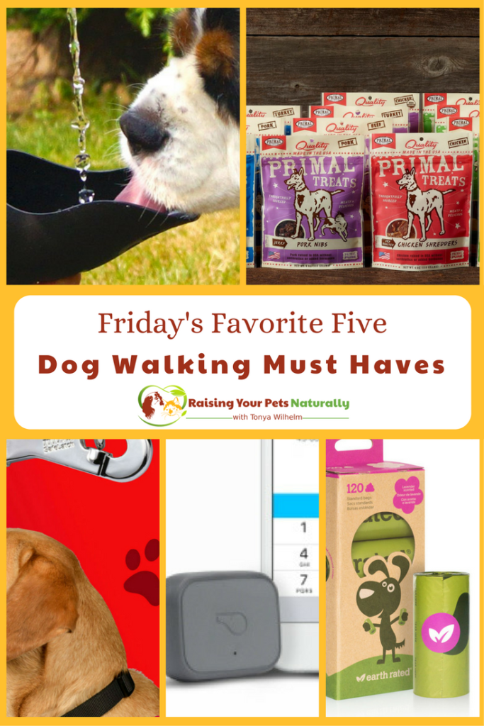 Check out today's five must haves for taking your dog for a walk. If you enjoy taking your dog for a walk, you won't want to miss these top five items. #raisingyourpetsnaturally