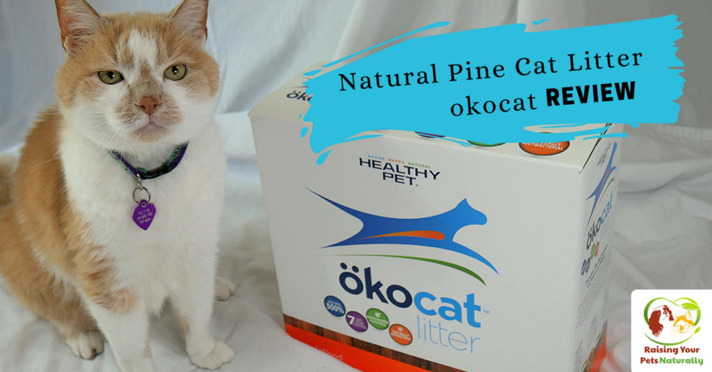 Not all cat litter is created equal. Most cat litters can be harmful to your cat. Read my review of one of my favorite natural cat litters, okocat. #raisingyourpetsnaturally