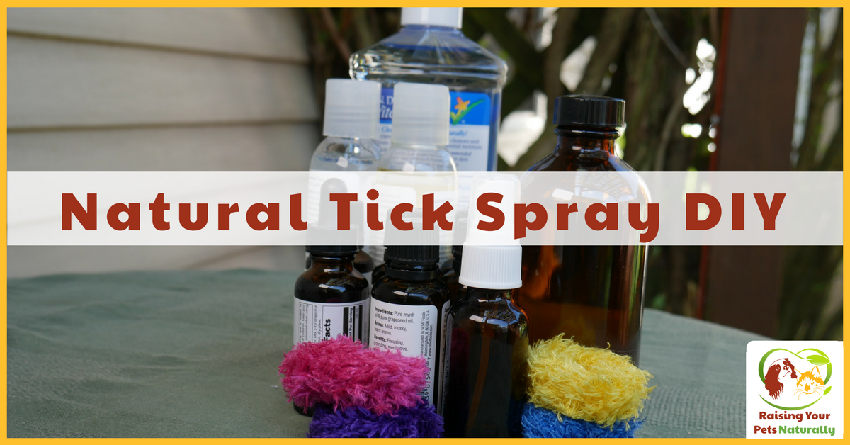 Best Natural Tick Treatment for Dogs using Essential Oils. Natural Tick Spray DIY #raisingyourpetsnaturally