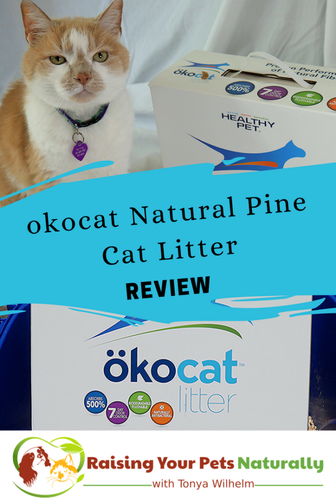 Not all cat litter is created equal. Most cat litters can be harmful to your cat. Read my review of one of my favorite natural cat litters, okocat. #raisingyourpetsnaturally 