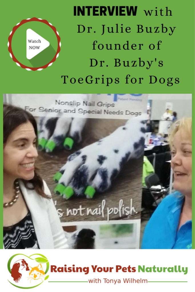 If you have old dogs or special needs dogs, you won't want to miss this interview with Dr. Julie Buzby. Learn how to prevent your dog from slipping on hardwood floors. Click to help your dog. #raisingyourpetsnaturally