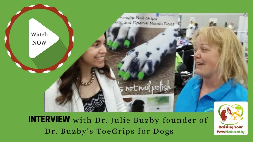 If you have old dogs or special needs dogs, you won't want to miss this interview with Dr. Julie Buzby. Learn how to prevent your dog from slipping on hardwood floors. Click to help your dog. #raisingyourpetsnaturally