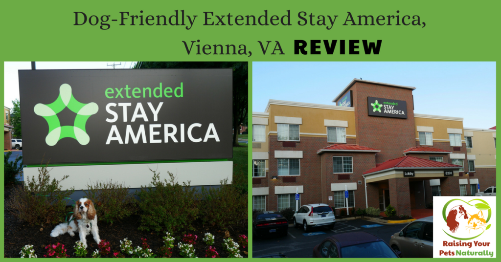 Pet-Friendly Hotels in Washington DC Area, Vienna Virginia | Dog-Friendly Hotel Extended Stay Tyson’s Corner Reviews #raisingyourpetsnaturally