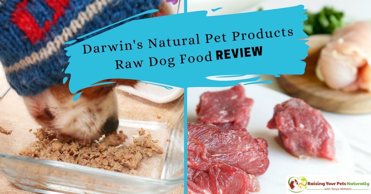 Best Raw Dog Food Reviews Darwin’s Natural Pet Products Raw Dog Food