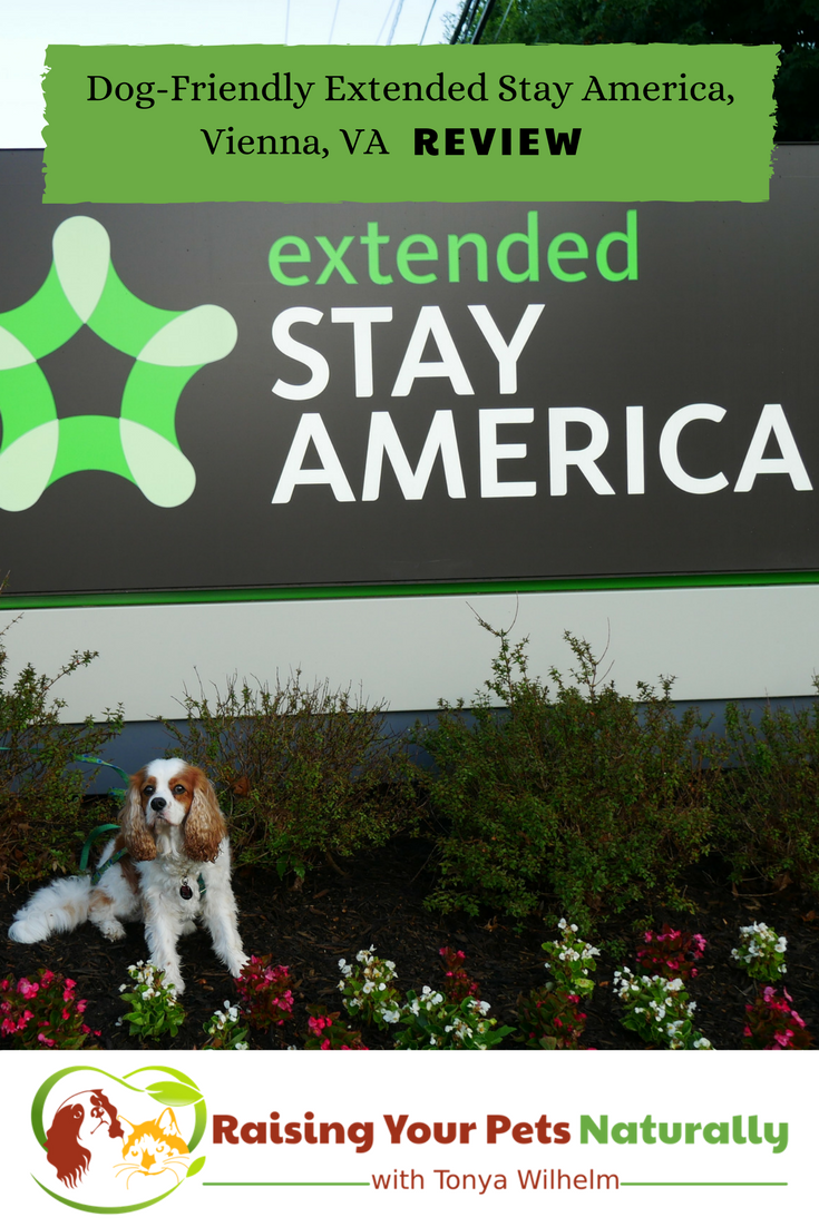 Pet-Friendly Hotels in Washington DC Area, Vienna Virginia | Dog-Friendly Hotel Extended Stay Tyson’s Corner Reviews #raisingyourpetsnaturally