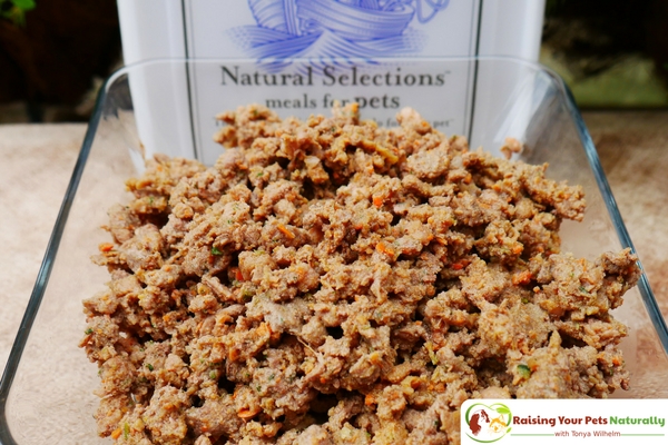 Best dog food brands for optimal health. Darwin's Natural Pet Products raw dog food diet review. #raisingyourpetsnaturally