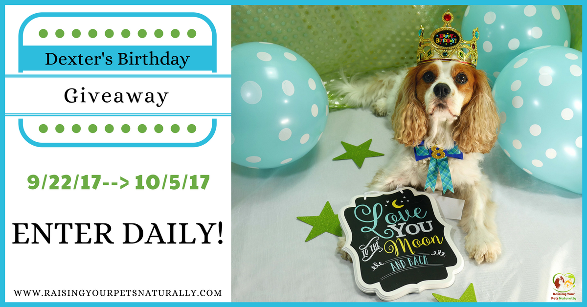 Dexter The Dog's Birthday Blog Giveaway Pet Contest 2017. Help me celebrate Dexter's eighth birthday! This year I will be hosting a giveaway to honor Dexter. #raisingyourpetsnaturally