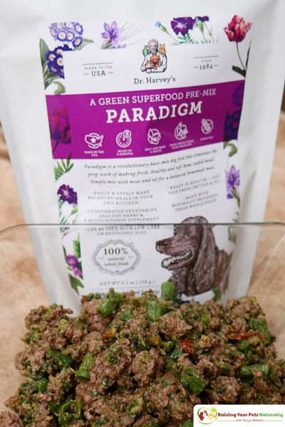 Are you looking for a natural and healthy grain free dog food? Check out my review of Dr. Harvey's Paradigm pet food mix. A ketogenic pet diet great for dogs with cancer, seizures, neurological conditions and weight loss. #raisingyourpetsnaturally 