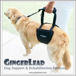 Products for senior dog care and mobility. 