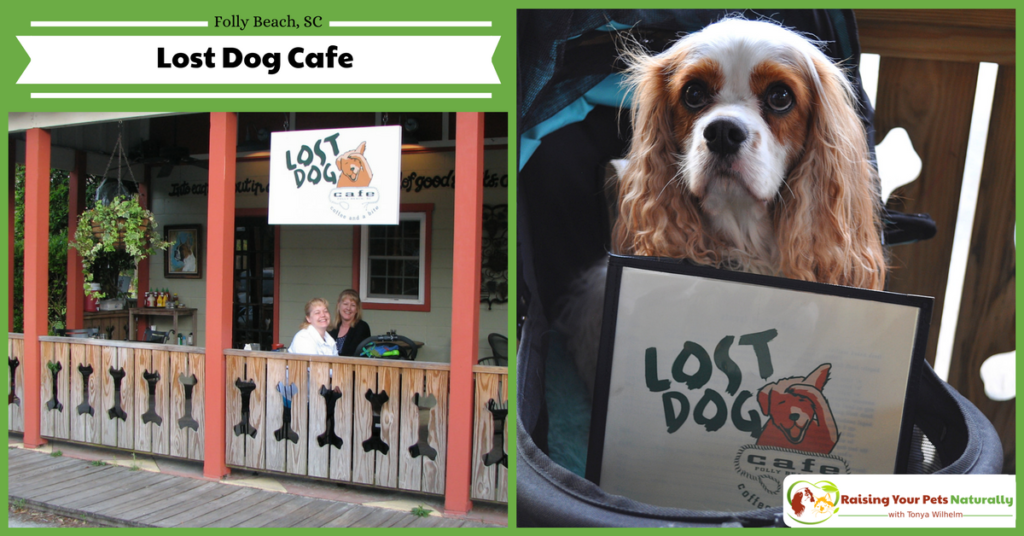 Dog-friendly vacations in Folly Beach, South Carolina. You won't want to miss the Lost Dog Cafe in Folly Beach, truly a dog-friendly restaurant. #raisingyourpetsnaturally