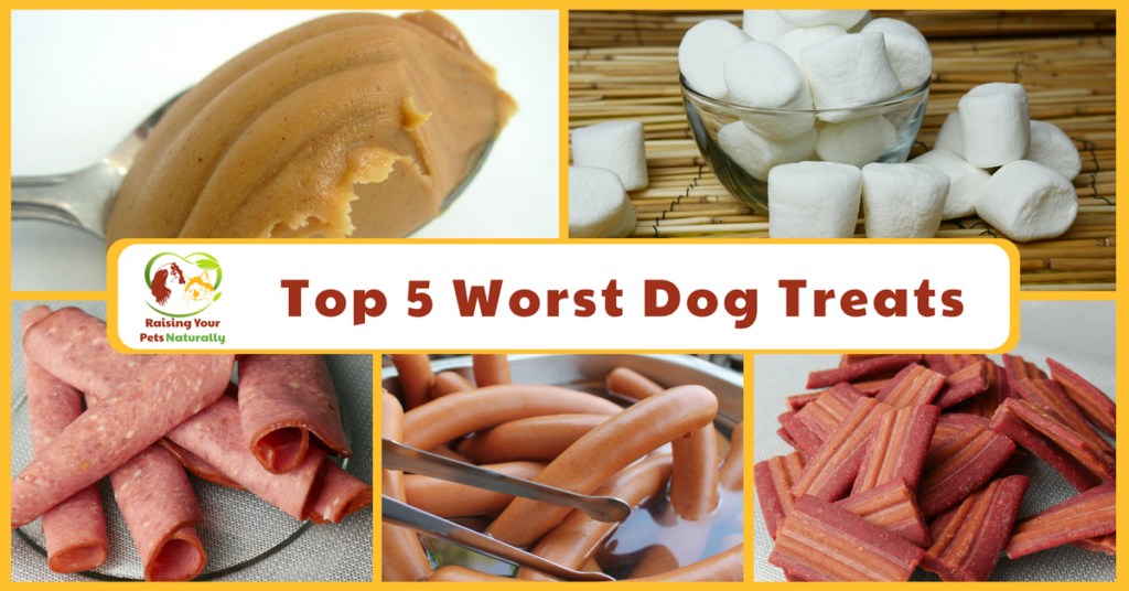Top 5 Worst Treats You Should Never Give Your Dog or Cat. Toxic dog treats and unhealthy dog treats rule the market. Here are 5 treats that may have been recommended that you should avoid. #raisingyourpetsnaturally