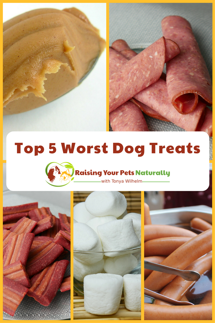 Top 5 Worst Treats You Should Never Give Your Dog or Cat. Toxic dog treats and unhealthy dog treats rule the market. Here are 5 treats that may have been recommended that you should avoid. #raisingyourpetsnaturally 