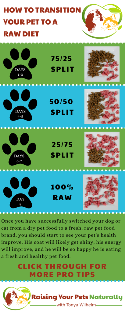 Transitioning your dog or cat to a raw pet food diet. A species appropriate raw pet food diet is a great way to provide your pet optimal health. #raisingyourpetsnaturally