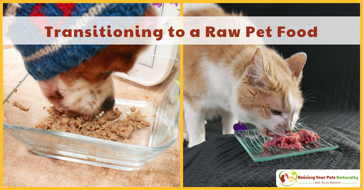 Transitioning your dog or cat to a raw pet food diet. A species appropriate raw pet food diet is a great way to provide your pet optimal health. #raisingyourpetsnaturally