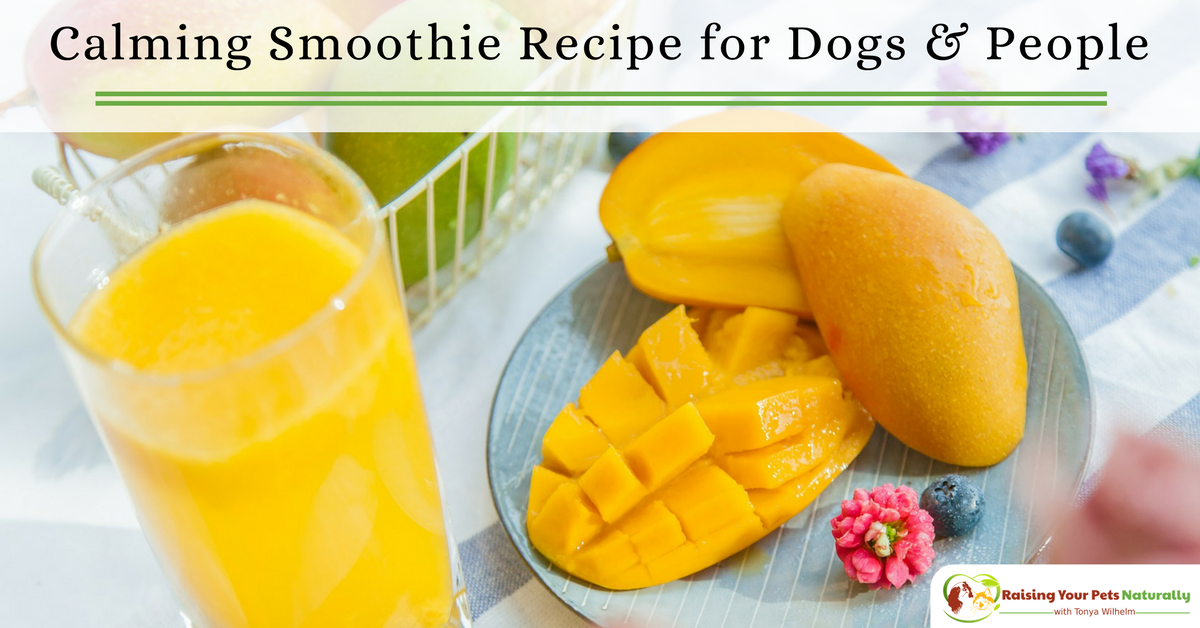 Sometimes we all can use a little help in the relaxation department. Whether you are trying to help your dog's anxiety, calm a rowdy puppy, or get a good's night sleep, this smoothie might fit the bill. #raisingyourpetsnaturally