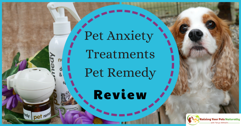 Dog and cat anxiety treatment. Pet Remedy essential oils for pet anxiety review. If you have a dog or cat with anxiety, you don't want skip this natural calming aid. #raisingyourpetsnaturally