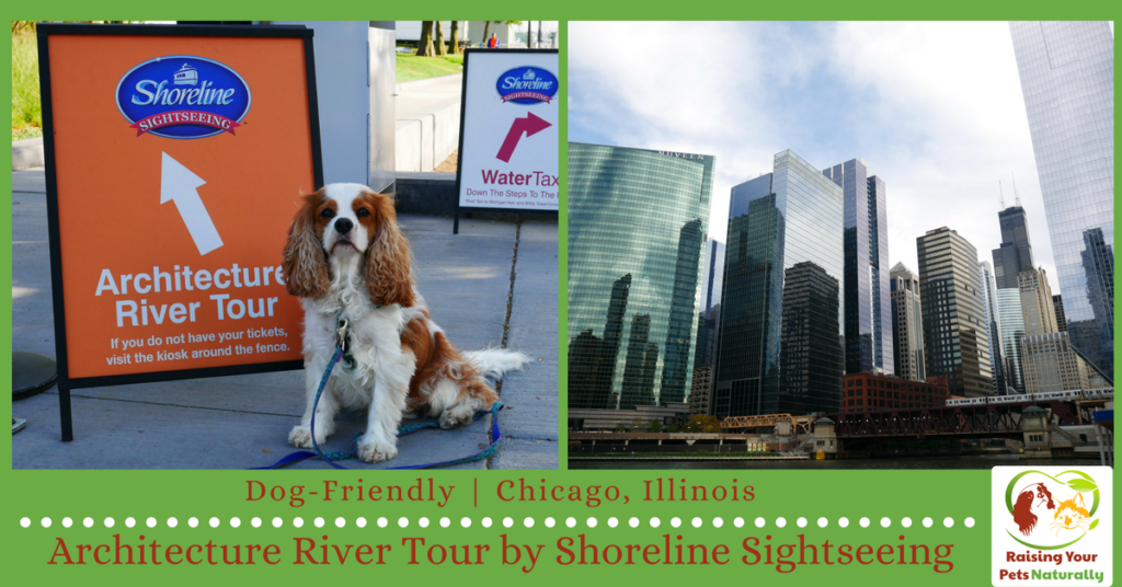 Dog-Friendly Vacations in Chicago, Illinois. Dog-Friendly Shoreline Sightseeing Boat Tour. If you are heading to Chicago with your dog, you won't want to miss this adventure. #raisingyourpetsnaturally