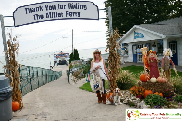Dog-Friendly Put in Bay, Ohio. Things to do in Put-in-Bay with your dog. Dexter and I loved our dog-friendly day trip at Put-in-Bay. #raisingyourpetsnaturally 