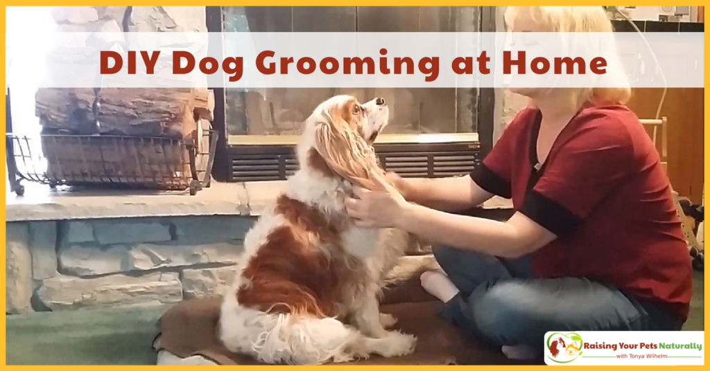 DIY Dog Grooming at Home. Basic Dog Grooming and How to Cut a Dog's Hair. #raisingyourpetsnaturally