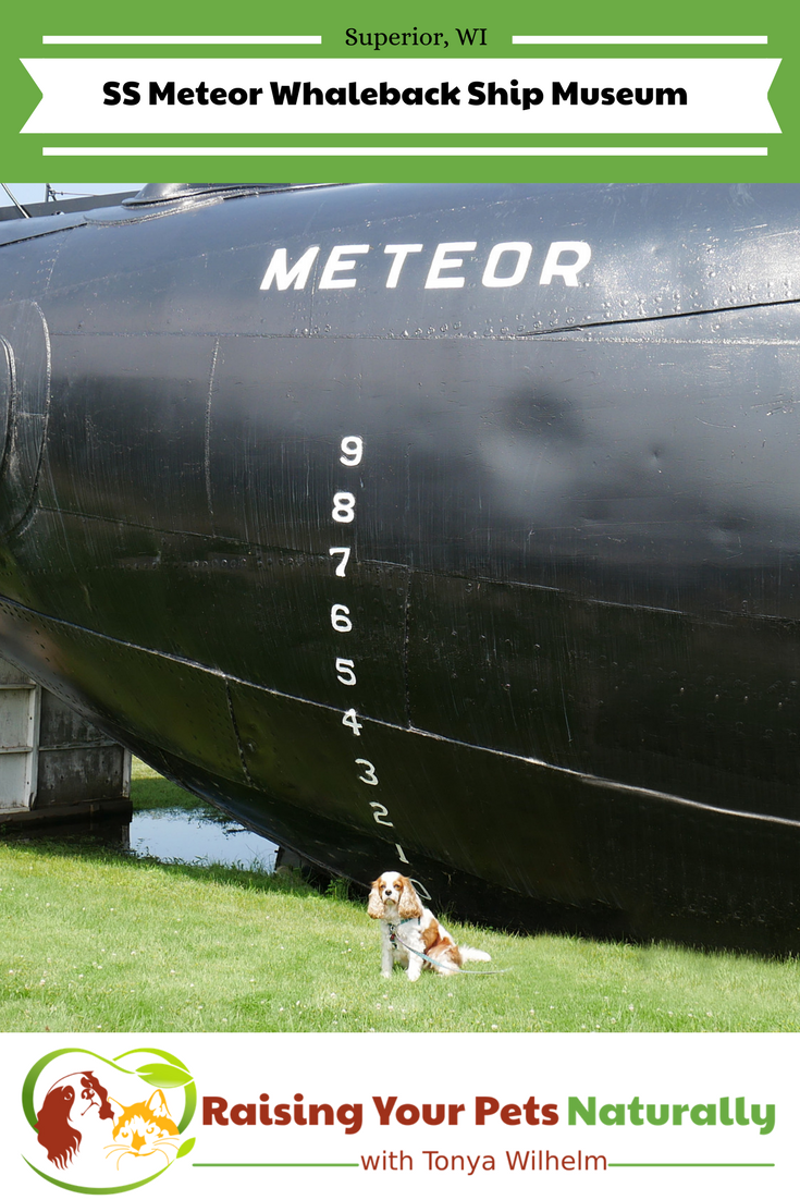Dog-Friendly Superior, Wisconsin Attractions. Dog-Friendly SS Meteor Whaleback Ship Museum. #raisingyourpetsnaturally #dogfriendly #petfriendly #wisconsin 