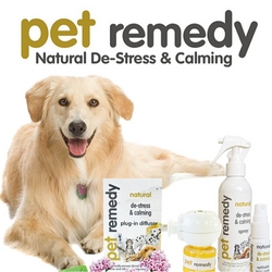 Natural calming solutions for pets