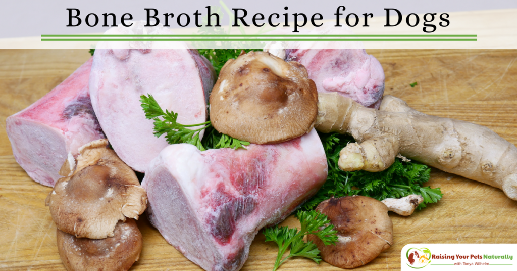 bone broth for dogs recipe slow cooker