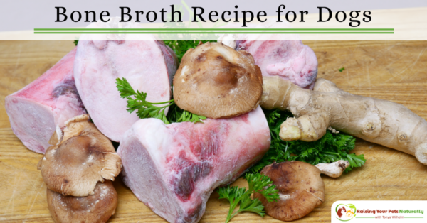 Bone broth recipe for your dog. Learn how to to make bone broth for your dog and the health benefits of bone broth. #raisingyourpetsnaturally