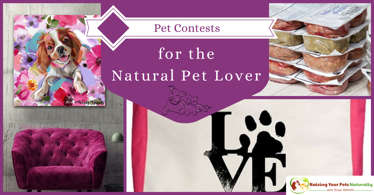 Dog and Cat Photo Contests, Pet Giveaway for the Natural Pet Lover! Don't miss out on these great prizes from the best natural pet brands on the market. #raisingyourpetsnaturally