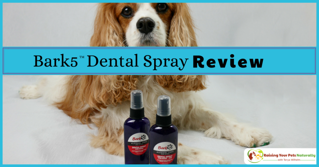 Dog Dental Care and Bark5 Dog Dental Spray Review. If you are looking for a natural dog cleaning system, you won't want to skip Bark5. #raisingyourpetsnaturally