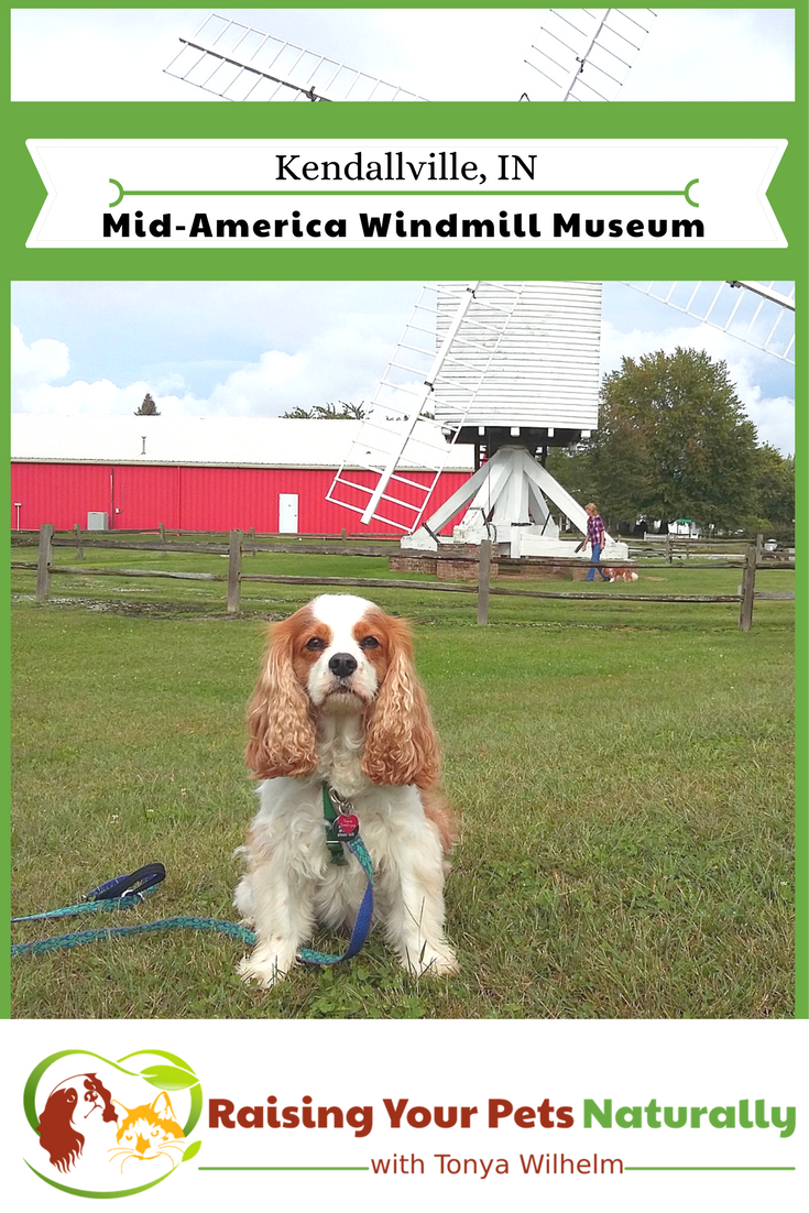 Dog-Friendly Indiana Attractions. If you are looking for a fun day-trip with your dog, check out the Mid-America Windmill Museum in Kendallville, Indiana. #raisingyourpetsnaturally #dogfriendly #dogfriendlyindiana #indiana