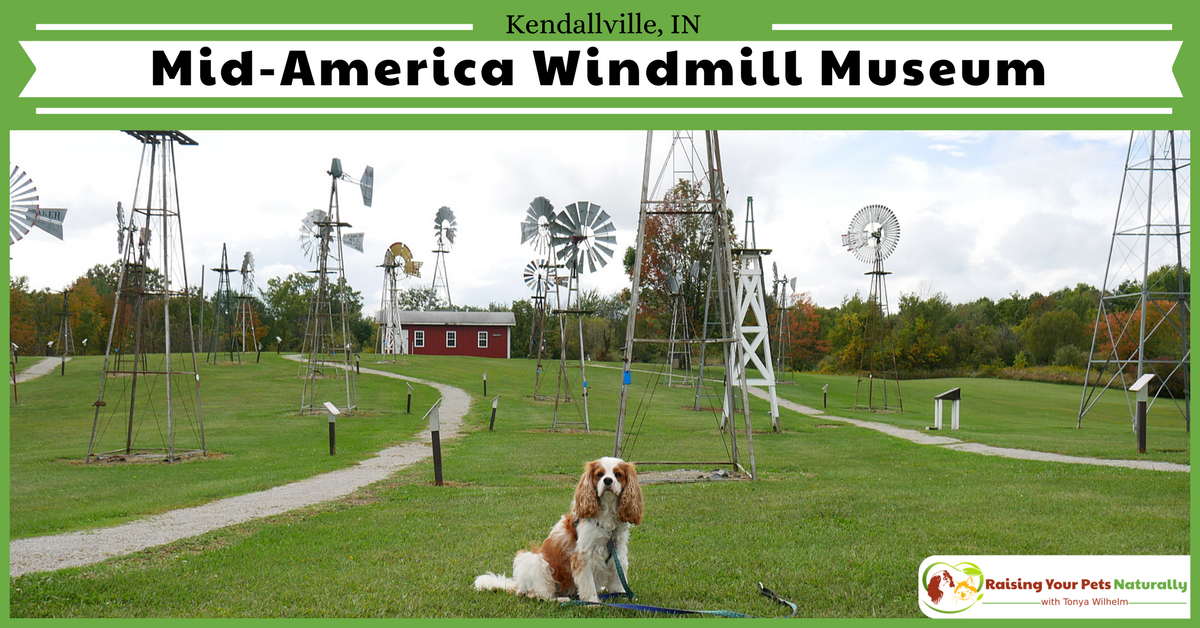 Dog-Friendly Indiana Attractions. If you are looking for a fun day-trip with your dog, check out the Mid-America Windmill Museum in Kendallville, Indiana. #raisingyourpetsnaturally