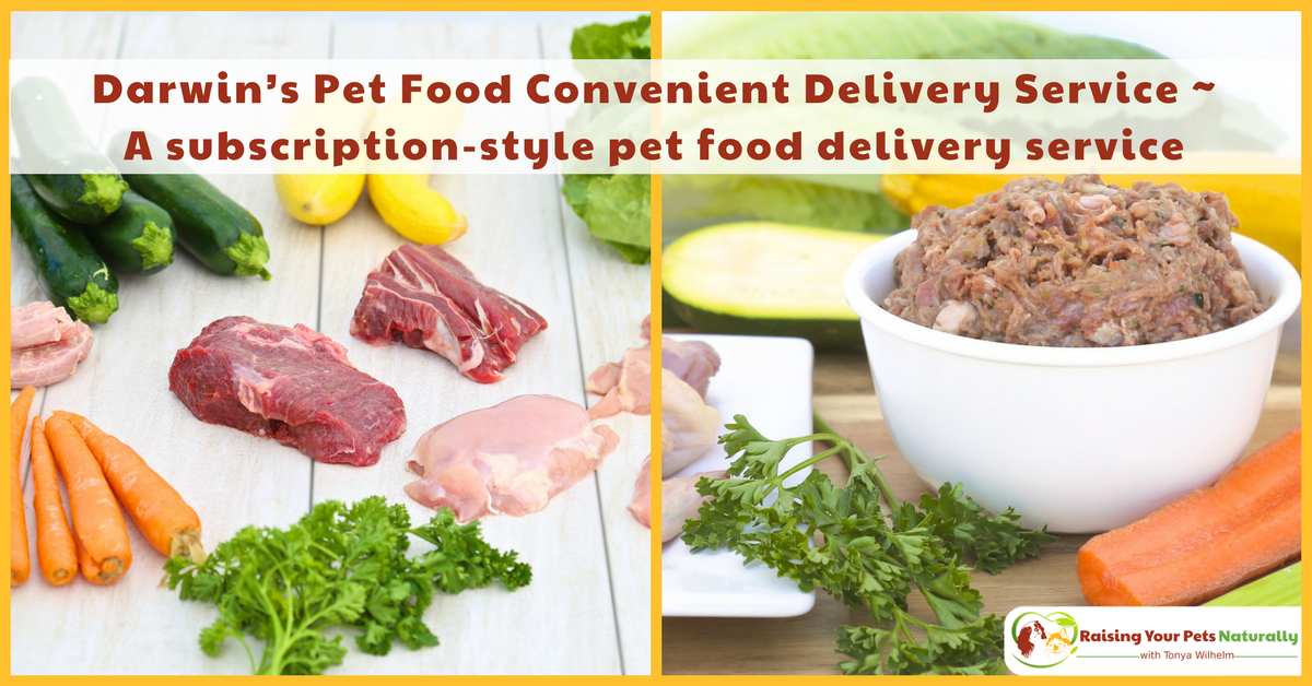 Learn about Dog and Cat Natural Raw Food Delivery Services and Subscription-Style Pet Food Delivery Services. #raisingyourpetsnaturally