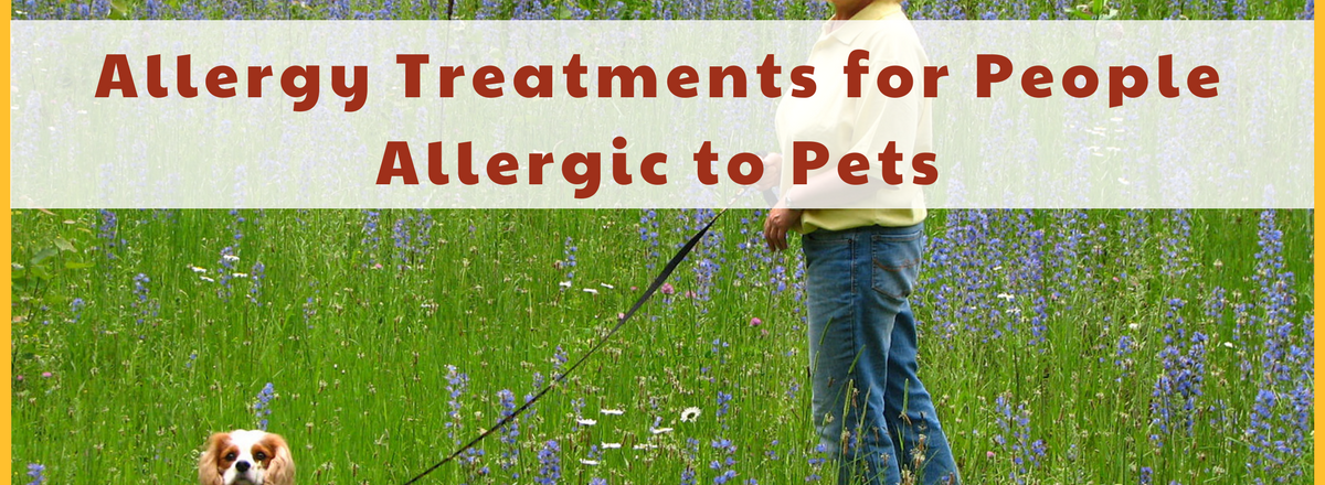 Allergy Treatments for People Allergic to Pets