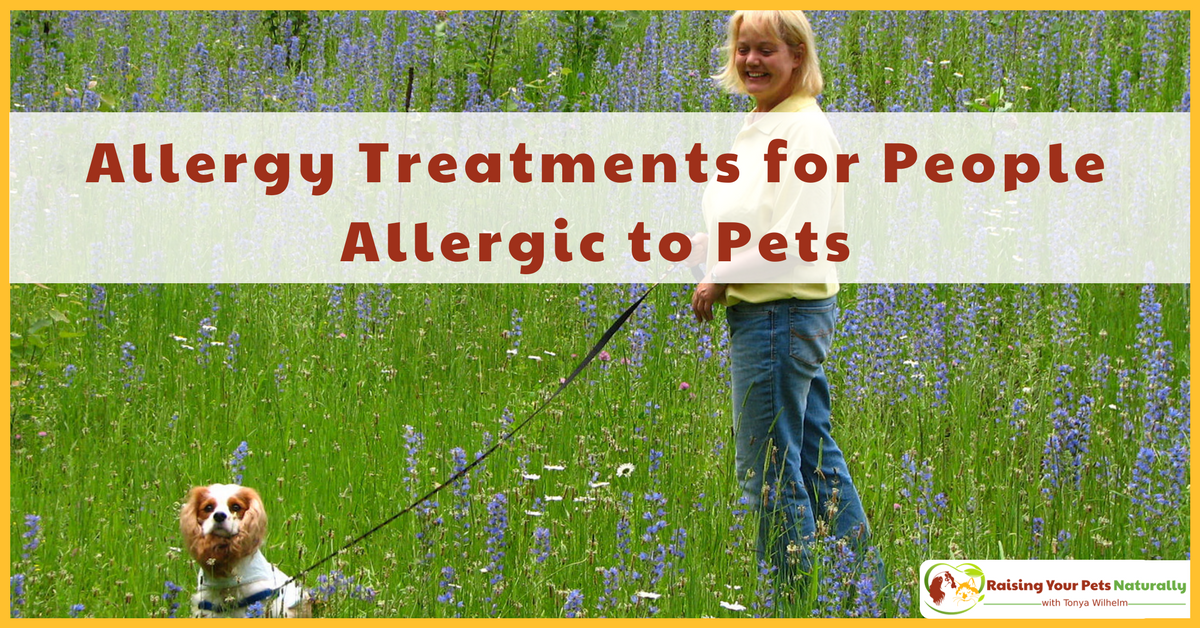 Dog and Pet Allergy Symptoms, Allergy Medicine and Natural Pet Allergy Treatment. Believe it or not, I'm allergic to dogs and probably cats! Learn about my dog allergy treatment and what you can do about pet allergies today. #raisingyourpetsnaturally 