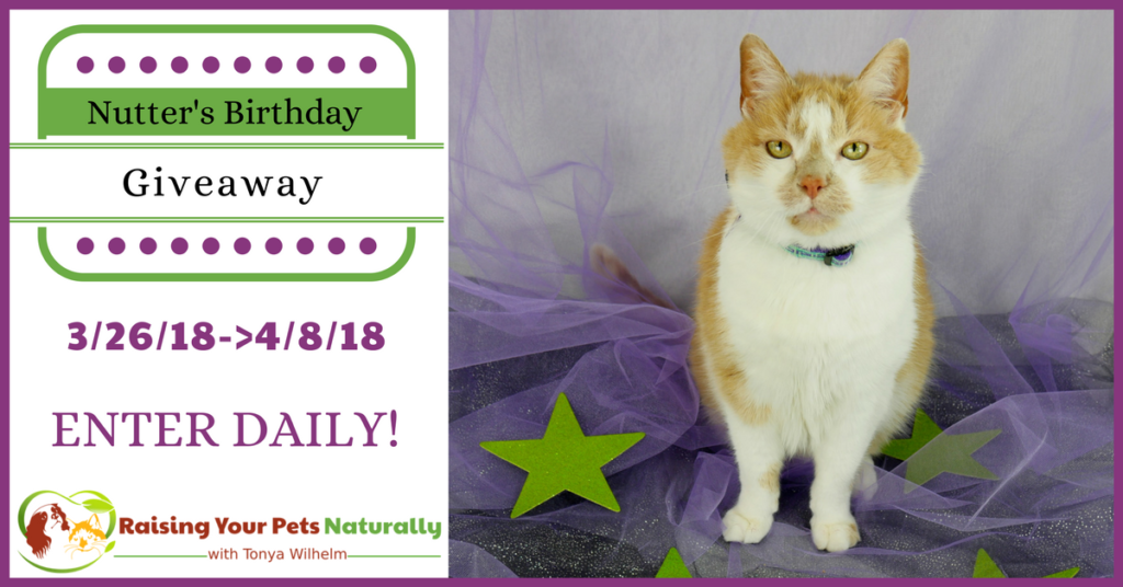 Nutter The Cat’s Birthday Blog Giveaway 2018. Help me celebrate Nutter's 20th birthday in his first cat giveaway. Click for details. #raisingyourpetsnaturally