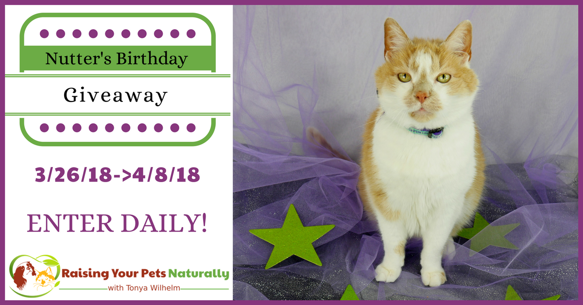 Nutter The Cat’s Birthday Blog Giveaway 2018. Help me celebrate Nutter's 20th birthday in his first cat giveaway. Click for details. #raisingyourpetsnaturally 