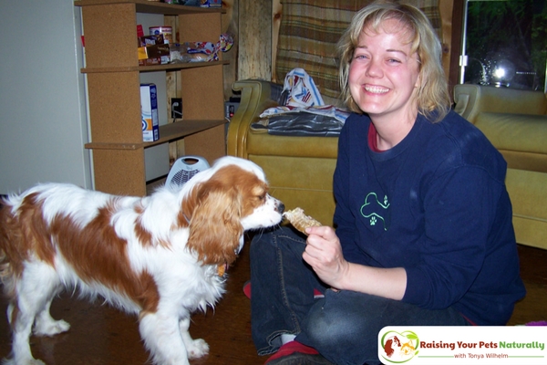 How to Stop a Puppy from Biting and Mouthing People. Teaching your new puppy not to bite people is one of the fundamental behaviors in raising a polite puppy. Learn how today. #raisingyourpetsnaturally