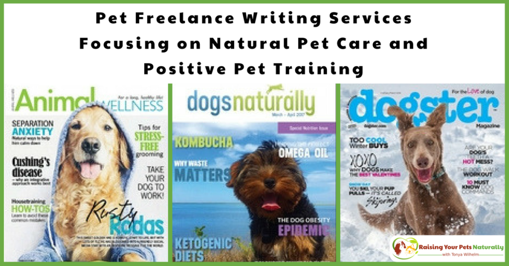 Freelance and ghost writers in the natural pet industry. Tonya Wilhelm is a natural and holistic pet care expert, pet freelance writer, and positive dog and cat behavior specialist and trainer. #raisingyourpetsnaturally