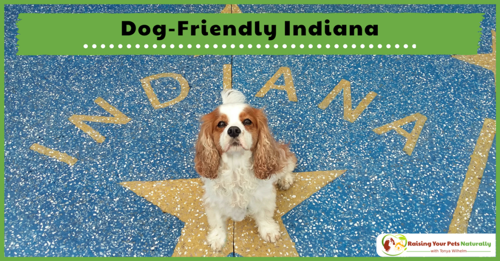 Dog-Friendly Vacations in The Midwest-Dog-Friendly Indiana. If you are traveling with dogs, you won't want to miss these Dog-Friendly Indiana Attractions. #raisingyourpetsnaturally