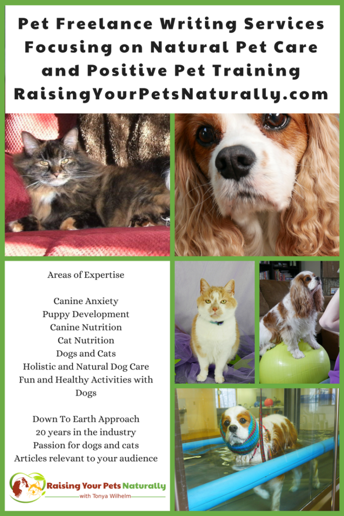 Freelance and ghost writers in the natural pet industry. Tonya Wilhelm is a natural and holistic pet care expert, pet freelance writer, and positive dog and cat behavior specialist and trainer. #raisingyourpetsnaturally #freelancewriters #petfreelance #petwriters #dogwriters #catwriters