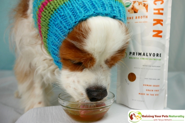 Health Benefits of Bone Broth for Dogs. Primalvore Collagen Boosted Bone Broth Review. #raisingyourpetsnaturally 