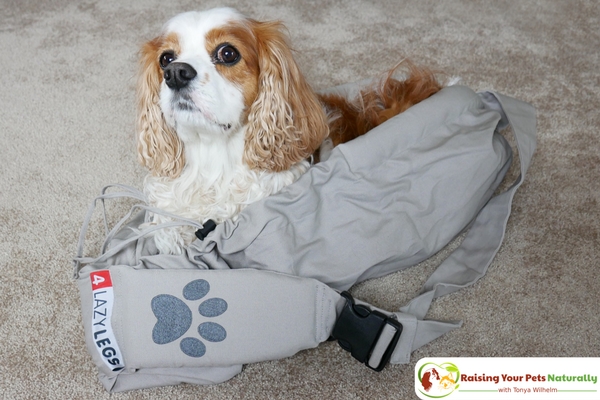 4LazyLegs Pets Carrier sling review. Sometimes a dog needs a little help and a dog sling just may be the solution. #raisingyourpetsnaturally 