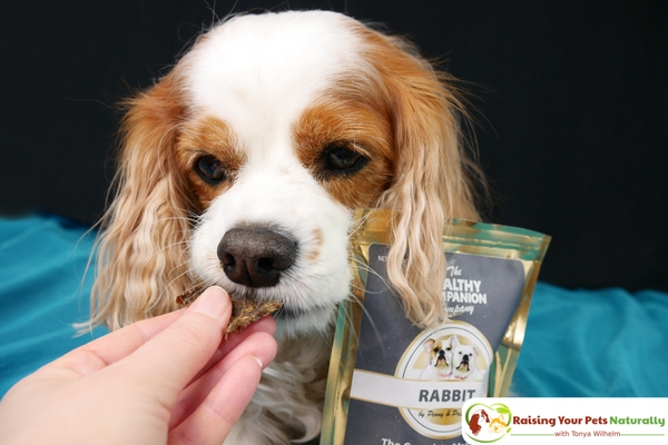 Best Natural Dog Training Treats for Dog Training Motivation. Learn why Dexter loves The Healthy Companion Company's wholesome dog treats. #raisingyourpetsnaturally