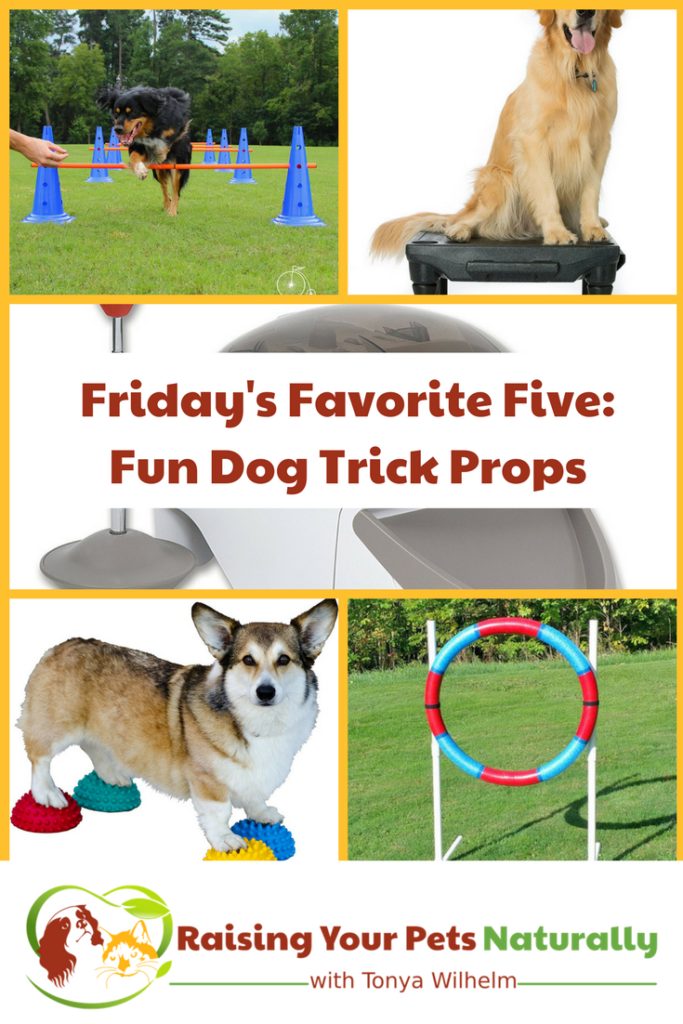 Friday's Favorite Five: Fun Dog Trick Props. I thought it would be interesting to share five fun dog trick props that you can use in your next positive dog training session. #raisingyourpetsnaturally #dogtricks #cooldogtricks #dogtraining #dogtrickvideos