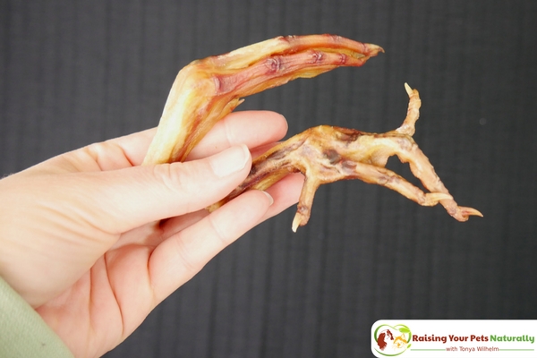 Best Dog Bones for Dogs. Healthy Companion Company's Dog Chicken Feet and Duck Feet for Dogs Review. #raisingyourpetsnaturally