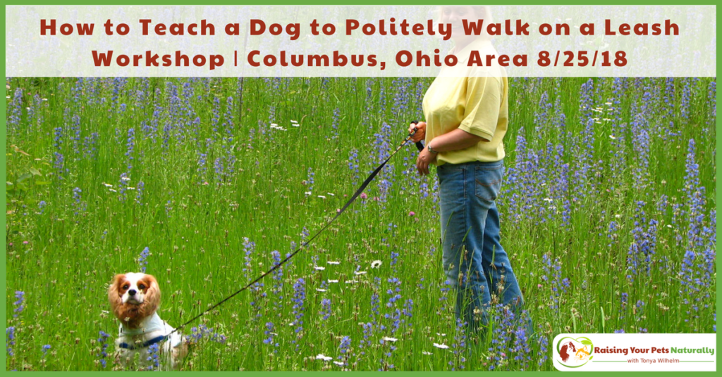 How to Teach a Dog to Politely Walk on a Leash Workshop | Columbus, Ohio Area #ColumbusDogs #ColumbusDogTraining #Columbus #ColumbusOhio