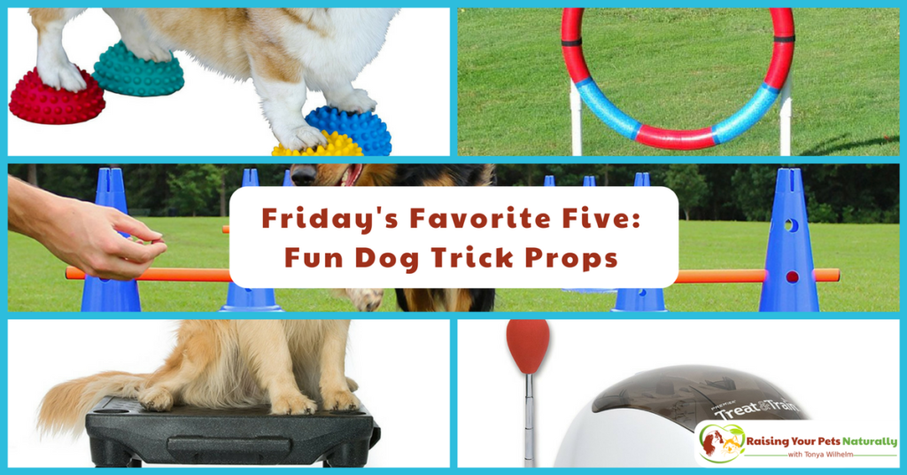 Friday's Favorite Five: Fun Dog Trick Props. I thought it would be interesting to share five fun dog trick props that you can use in your next positive dog training session. #raisingyourpetsnaturally