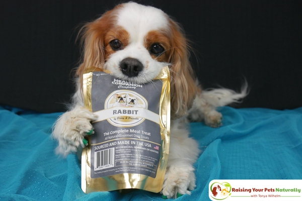 Best Natural Dog Training Treats for Dog Training Motivation. Learn why Dexter loves The Healthy Companion Company's wholesome dog treats. #raisingyourpetsnaturally